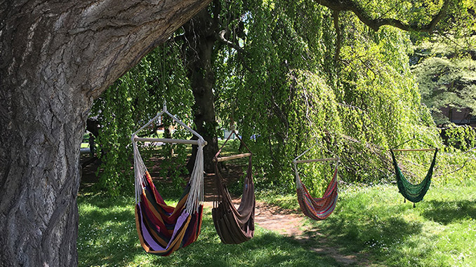 Four Hammock Chairs- Hang Out with friends