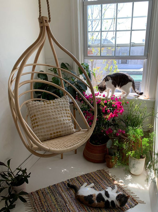 teardropp-woven-hanging-chair-and-two-cats