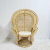 Ashong-Upholstered-Accent-Chair Fauteuil d'appoint rembourrée Ashong